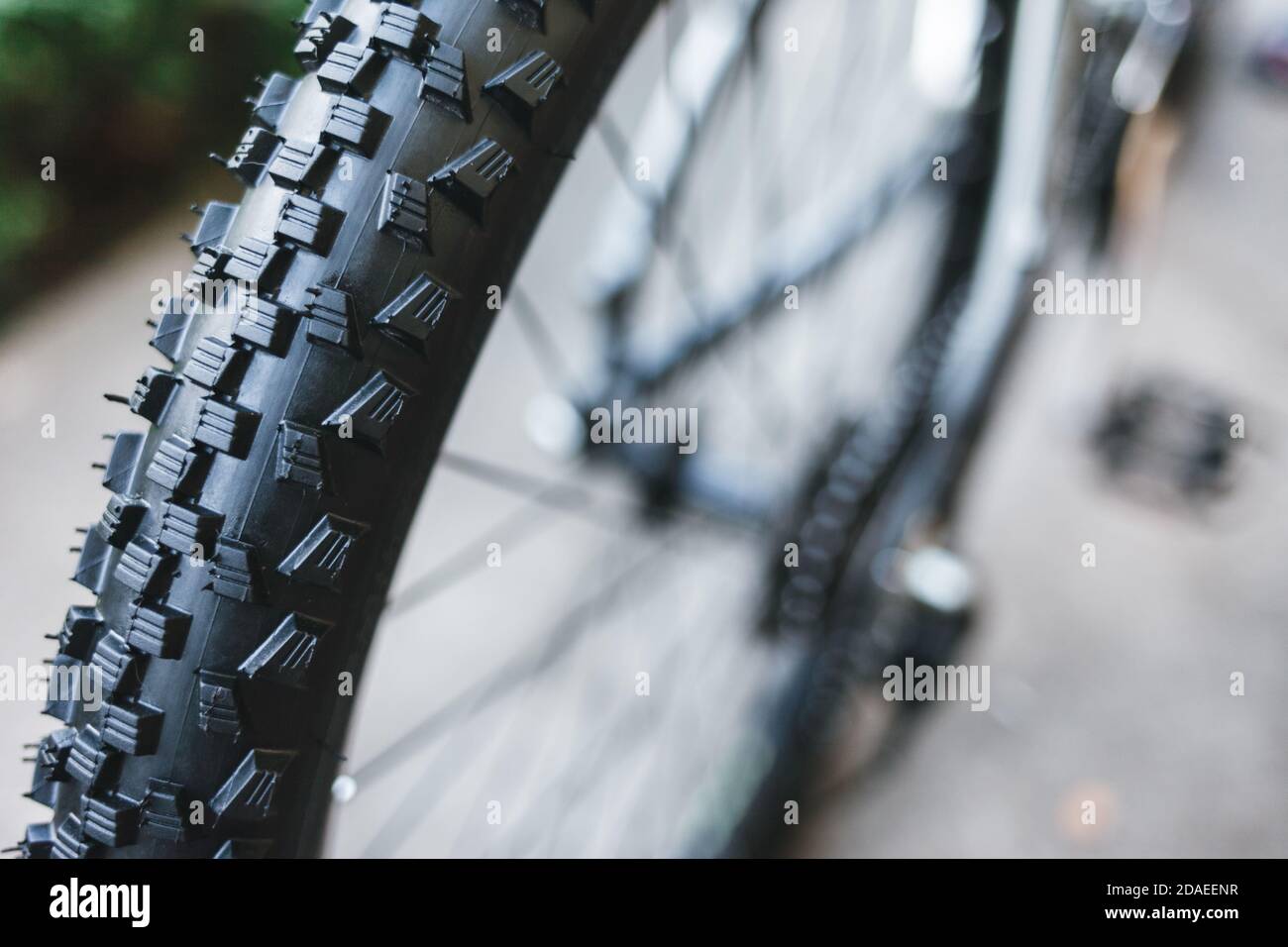 Fahrrad Rad und Reifen in einwandfreiem Zustand Stockfoto