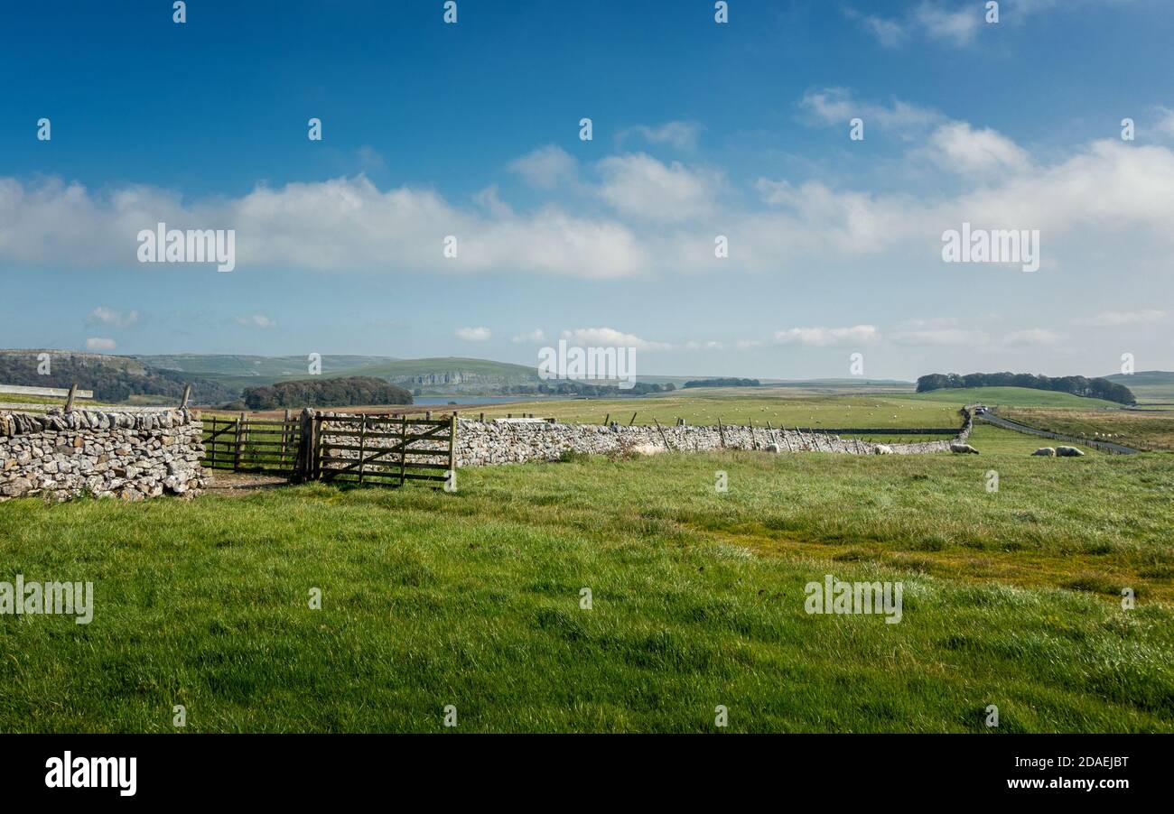 UK Landschaft: Schönes Wetter auf Malham Moor mit Blick auf Malham Tarn und Malham Crag, Yorkshire Dales National Park, North Yorkshire, England Stockfoto