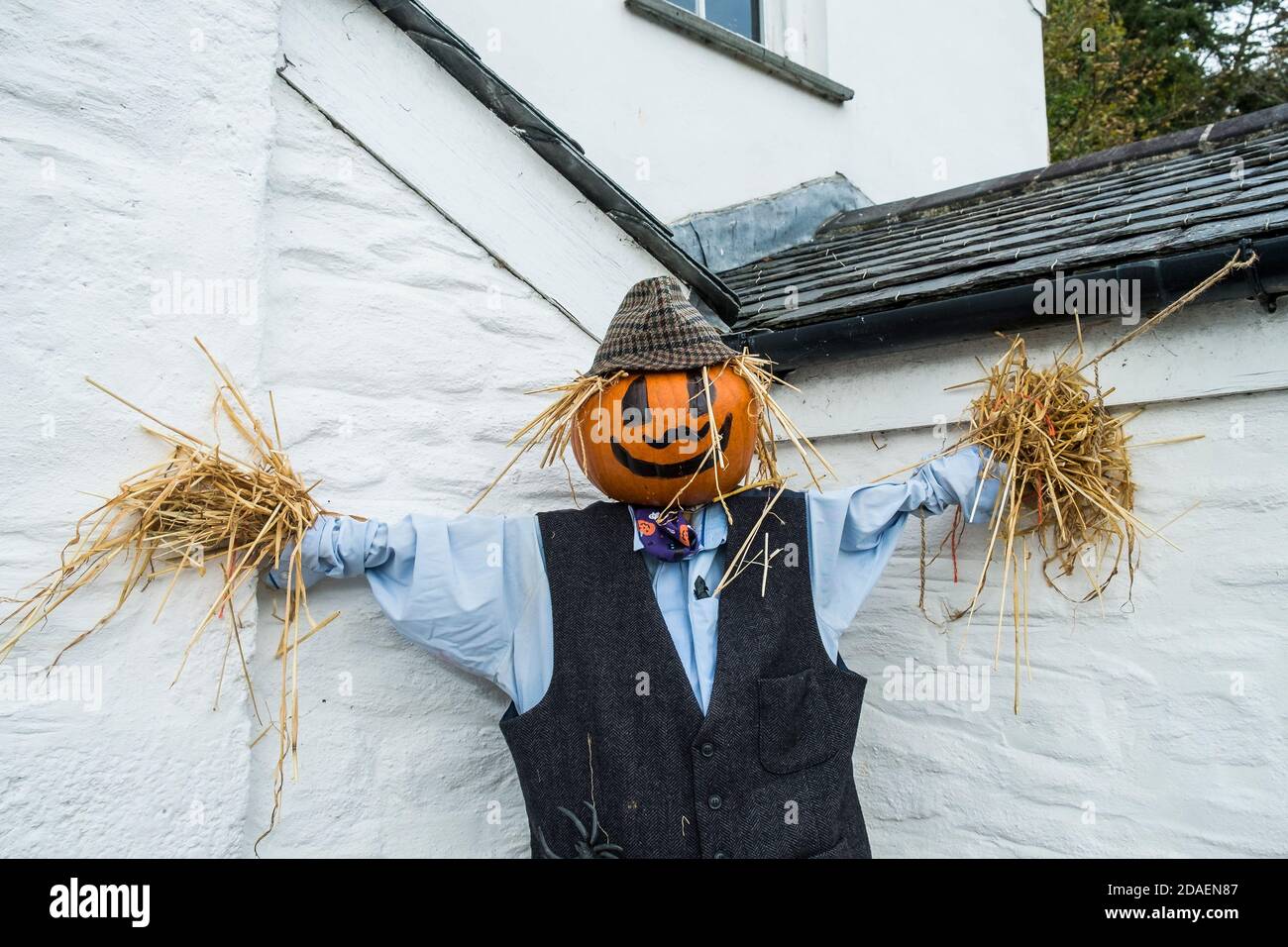 Eine Vogelscheuche mit Kürbiskopf für Halloween Feiern in Newquay in Cornwall gekleidet. Stockfoto