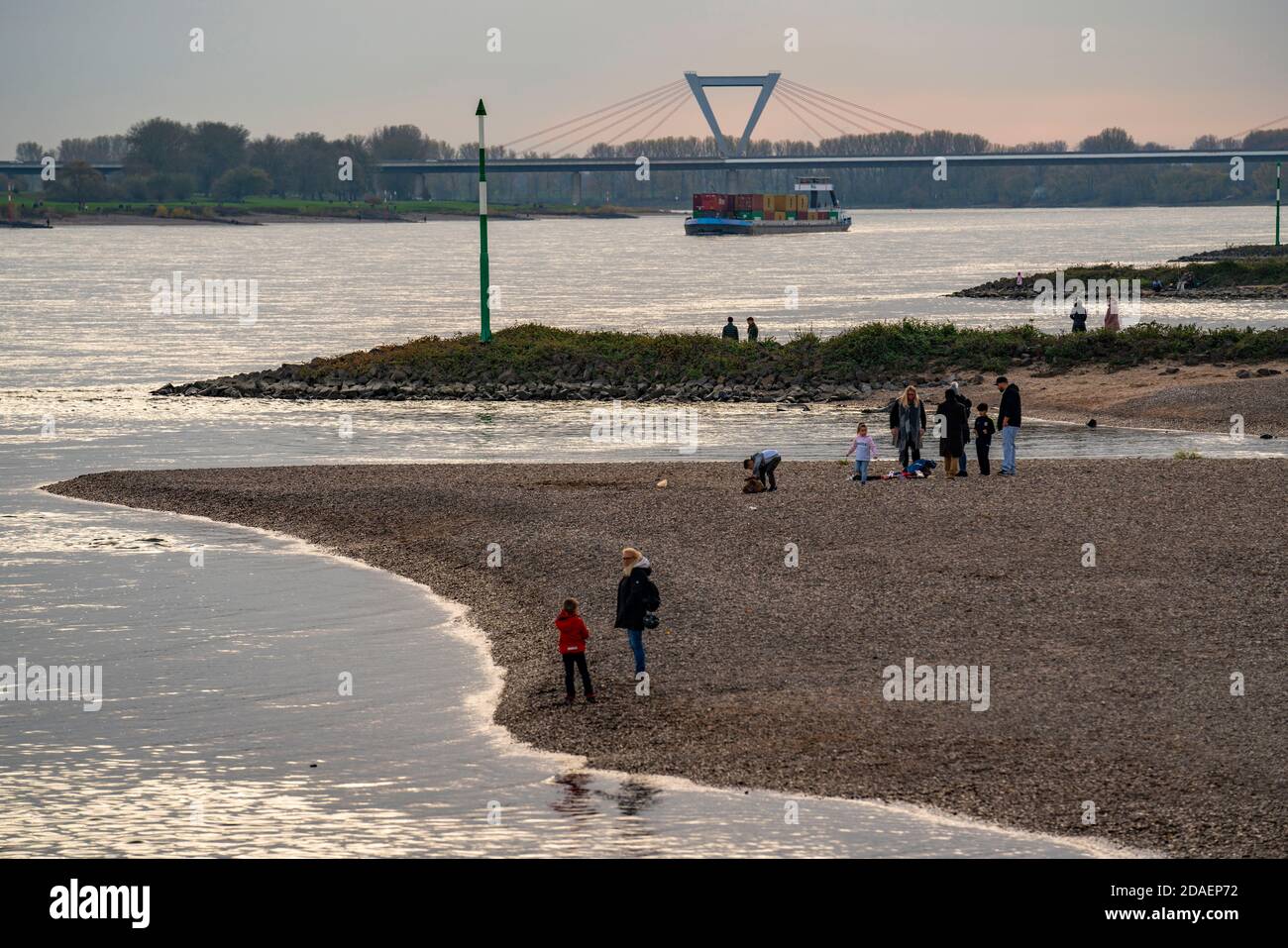 Walker am Rheinstrand zwischen Düsseldorf und Krefeld, Containerfrachtschiff, hinten die Flughafenbrücke der A44, Niederrheinlandschaft, NRW, Stockfoto