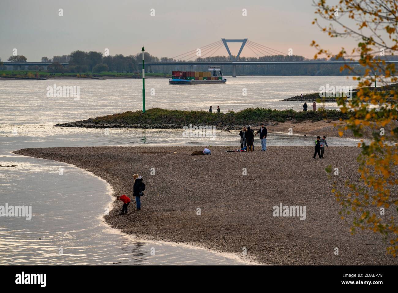 Walker am Rheinstrand zwischen Düsseldorf und Krefeld, Containerfrachtschiff, hinten die Flughafenbrücke der A44, Niederrheinlandschaft, NRW, Stockfoto