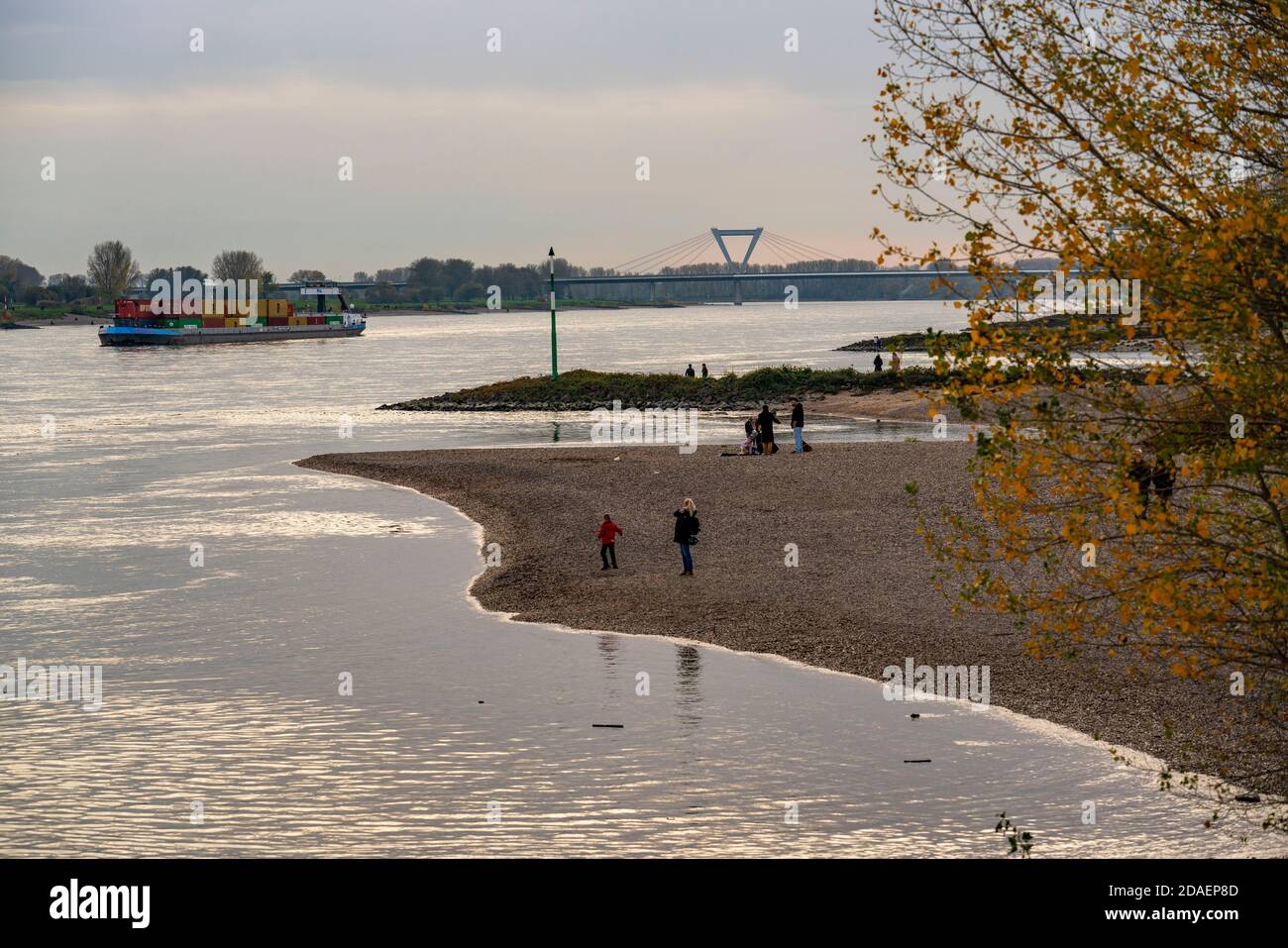 Walker am Rheinstrand zwischen Düsseldorf und Krefeld, Containerfrachtschiff, hinten die Flughafenbrücke der A44, Niederrheinlandschaft, NRW, Stockfoto