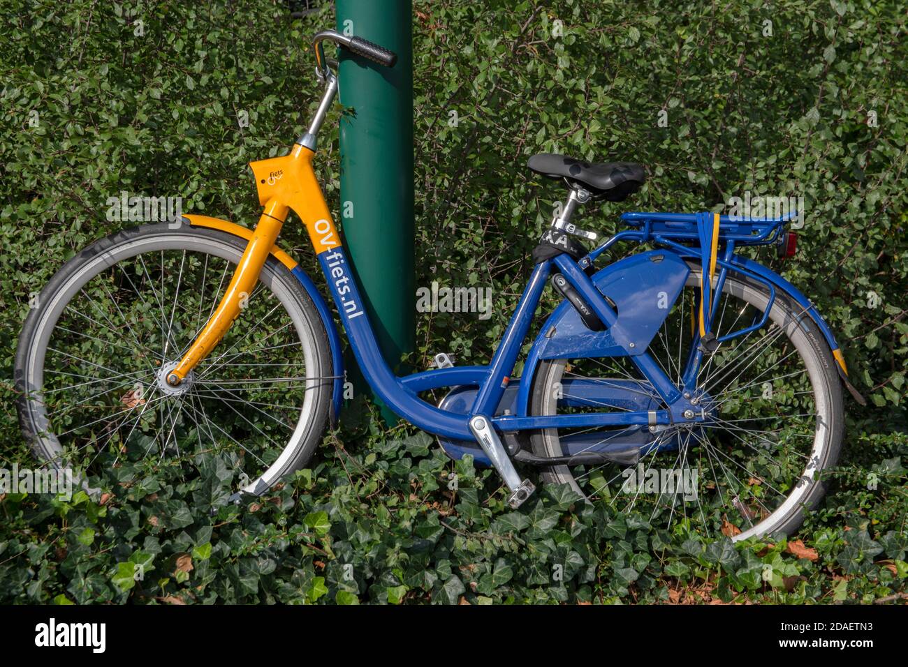 OV-Fiets.nl Fahrrad in Bilthoven Niederlande 25-9-2020 Stockfoto