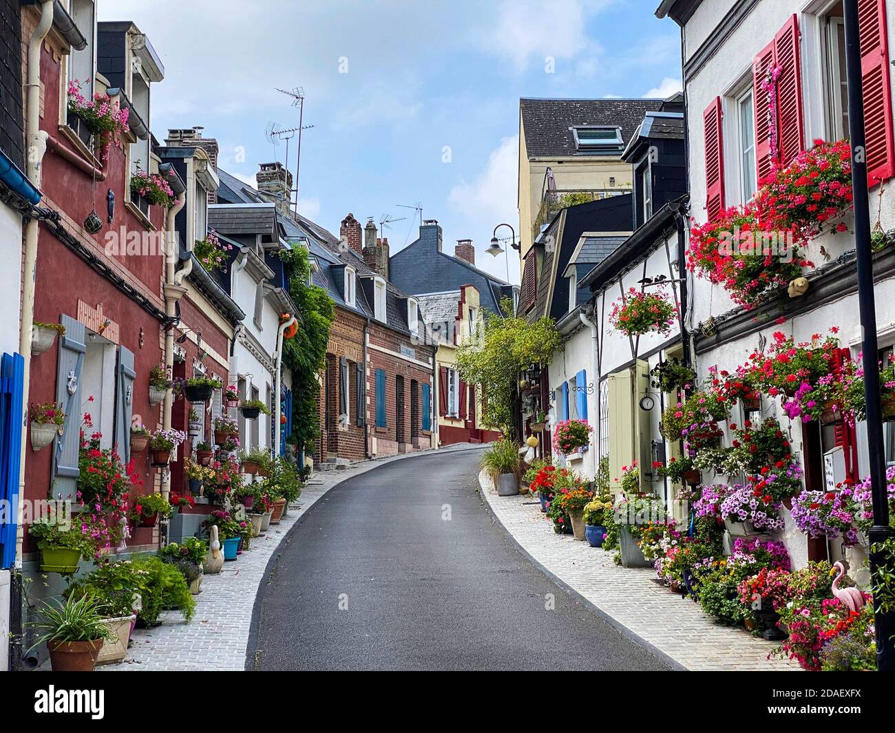 Saint-Valery-sur-Somme, Frankreich, 15. August 2020 - schöne blühende traditionelle Straße Saint-Valery-sur-Somme. Stockfoto