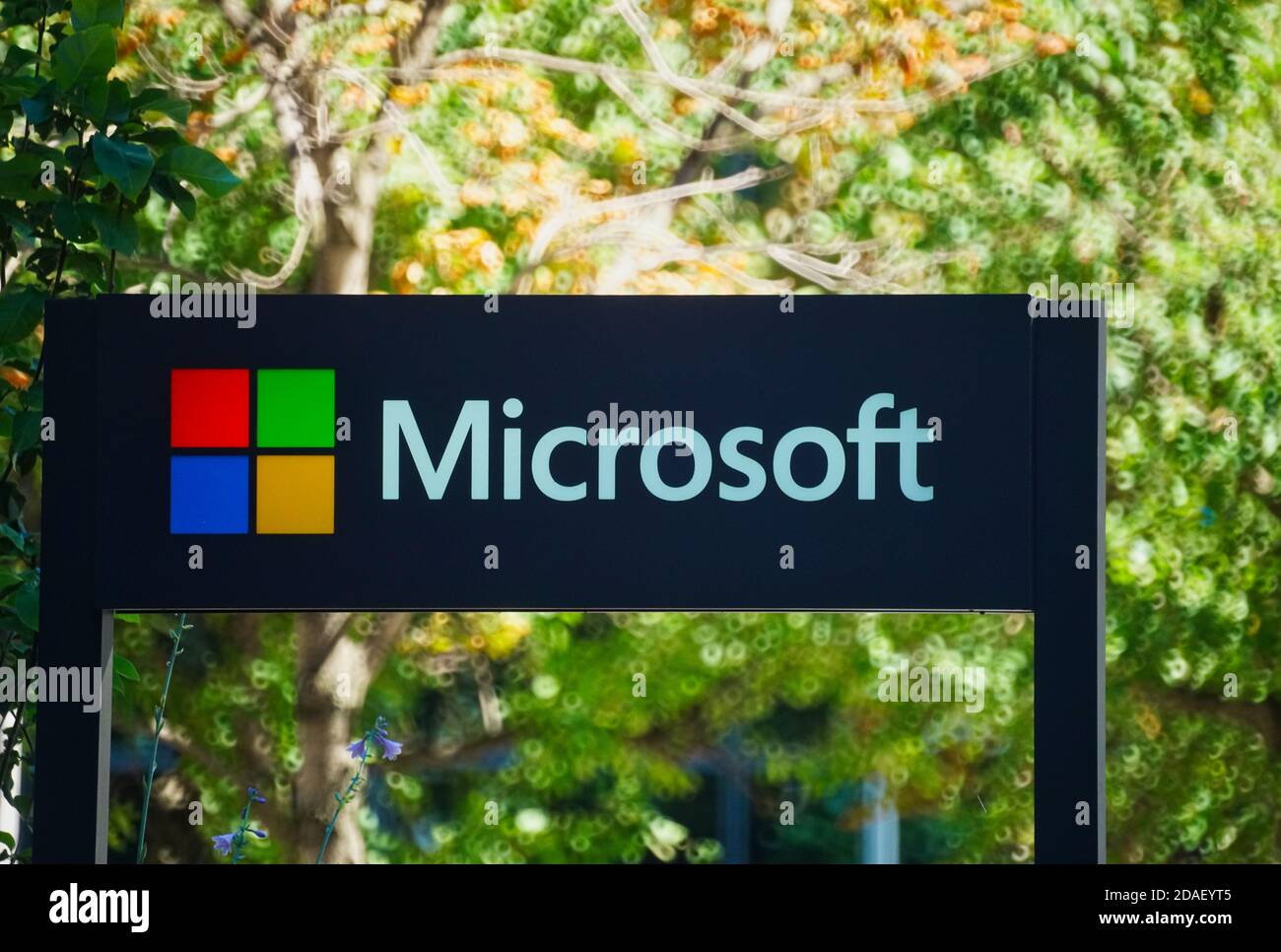 Montreal, Quebec, Kanada, Juni 8, 2020.Software-Riese Microsoft Büros in Montreal.Credit: Mario Beauregard/Alamy News Stockfoto