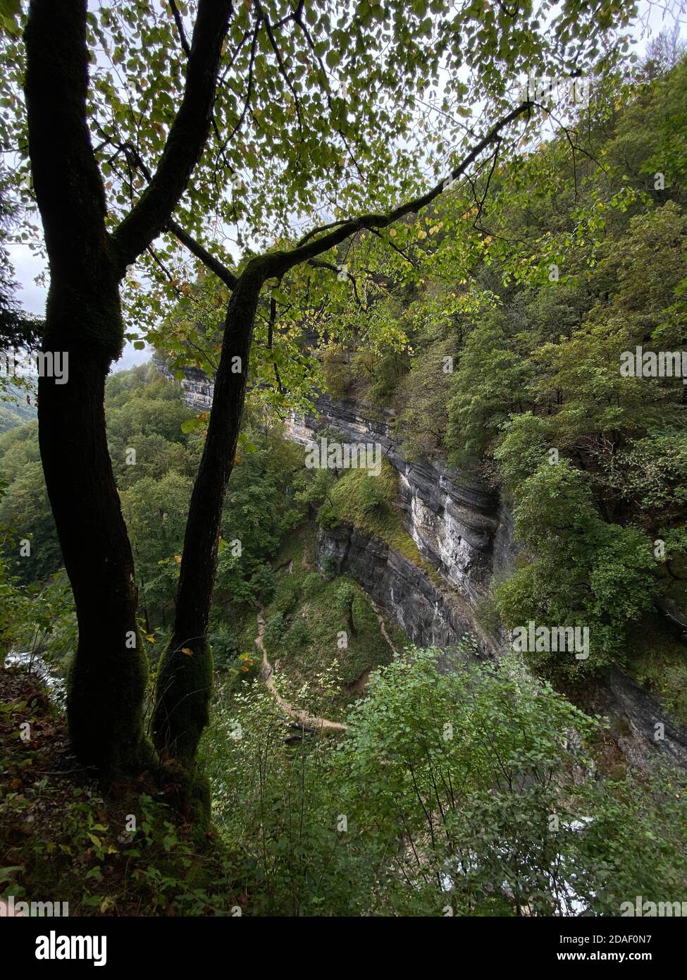 Der Wasserfall Le Grand Saut ist einer der zahlreichen Wasserfälle der Cascade du herisson, frankreich, jura Stockfoto