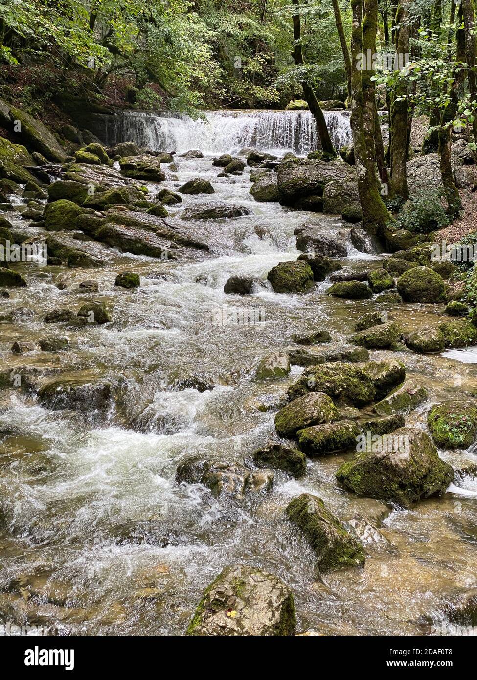 Sommeransicht des Flusses Herisson, frankreich, jura Stockfoto