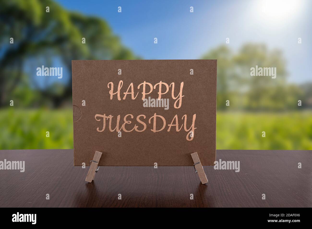 Happy Tuesday Karte auf dem Tisch mit sonnigen grünen Wald Hintergrund. Stockfoto