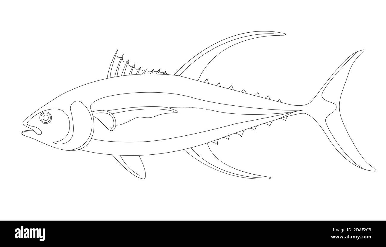 Thunfisch, Vektor-Illustration, Futter zeichnen, Profilseite Stockfoto