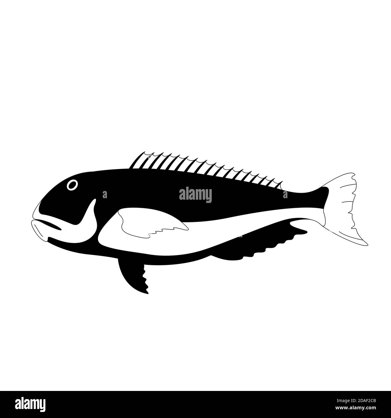 fliesen Fisch, Vektor-Illustration, Futter zeichnen, Profil Stockfoto