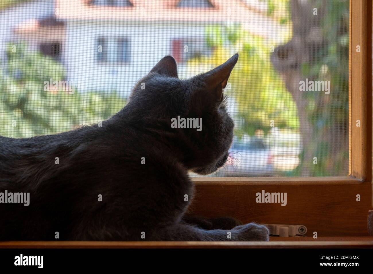 Abstrakter Hintergrund von gewellten ineinander verschlungene farbige Linien auf weiß Stockfoto