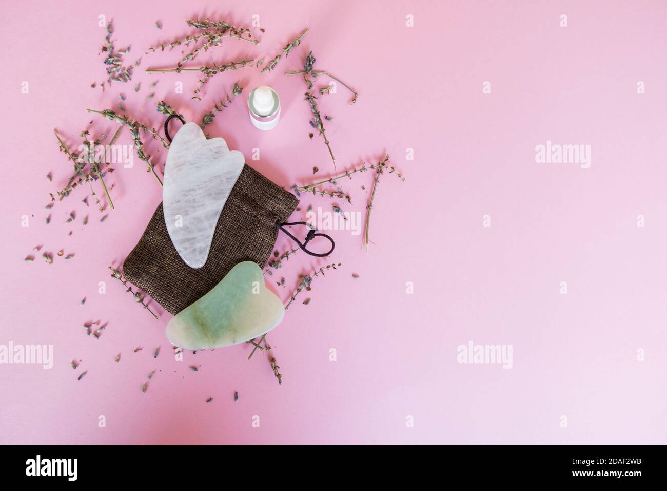 Rosa und grüne Gua Sha Massagewerkzeuge aus Rosenquarz auf dem rosa Hintergrund mit getrockneten Lavendelblüten. Schönheitskonzept. Flatlay-Konzept Stockfoto