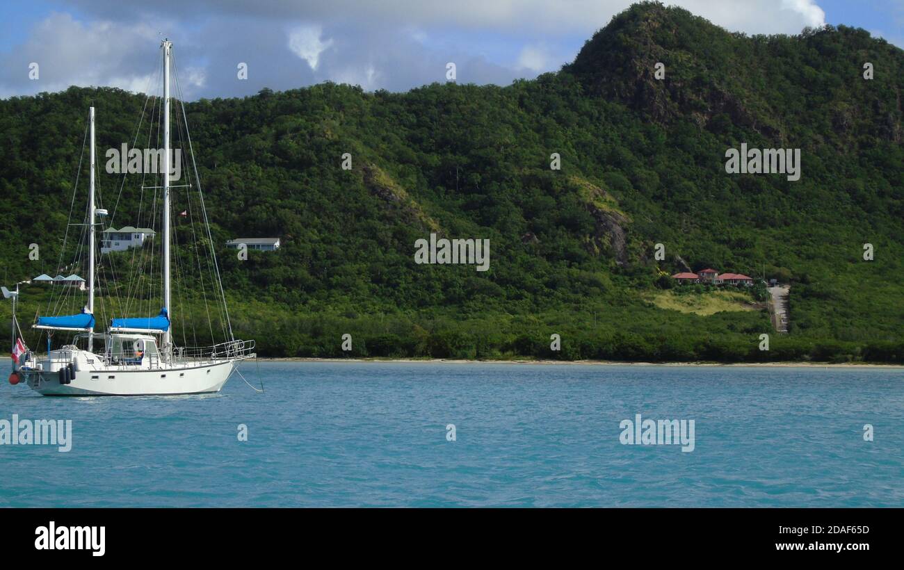 Blick auf das Segelboot im Jolly Harbour, Antigua. Glück grüne Vegetation und strahlend blaues Meer. Stockfoto