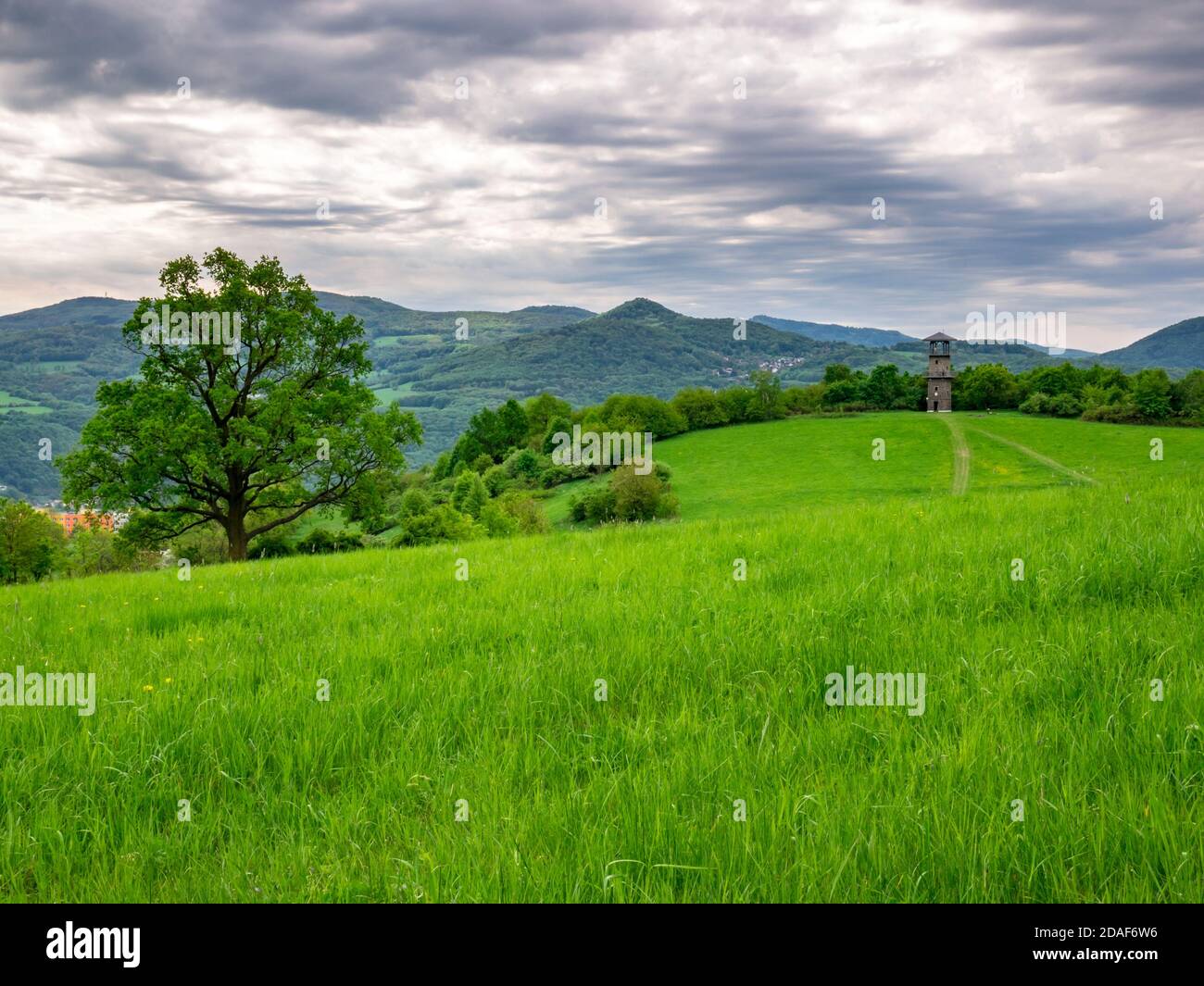 Blick auf eine bergige Landschaft mit Wiese, Wald, massiven alten Baum, und ein Aussichtsturm am Horizont Stockfoto