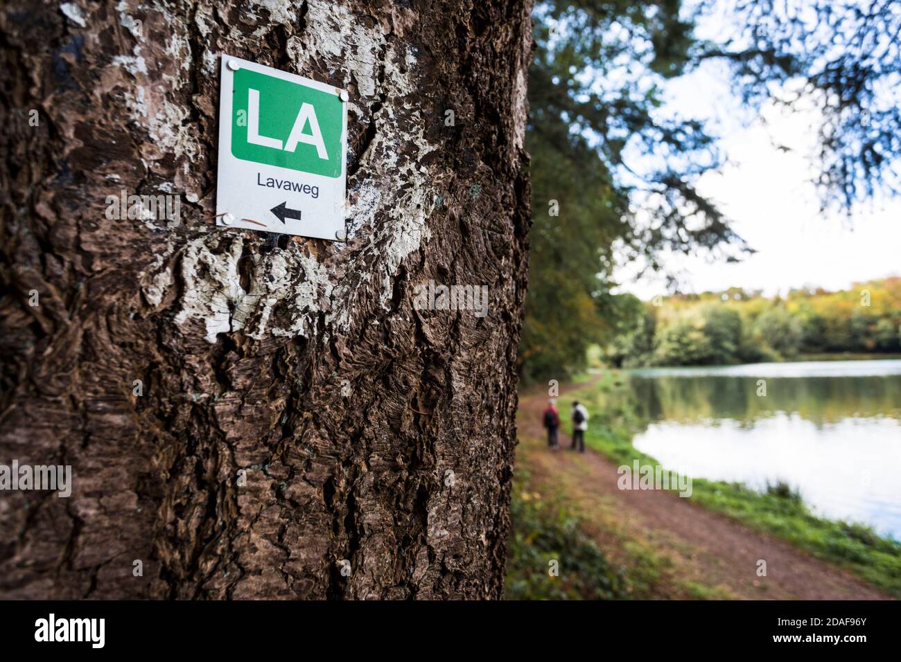 Der Holzmaarsee in der Vulkaneifel ist fast vollständig umgeben Dichter Wald Stockfoto Der Holzmaarsee in der Vulkaneifel ist fast vollständig umgeben Dichter Wald Stockfoto