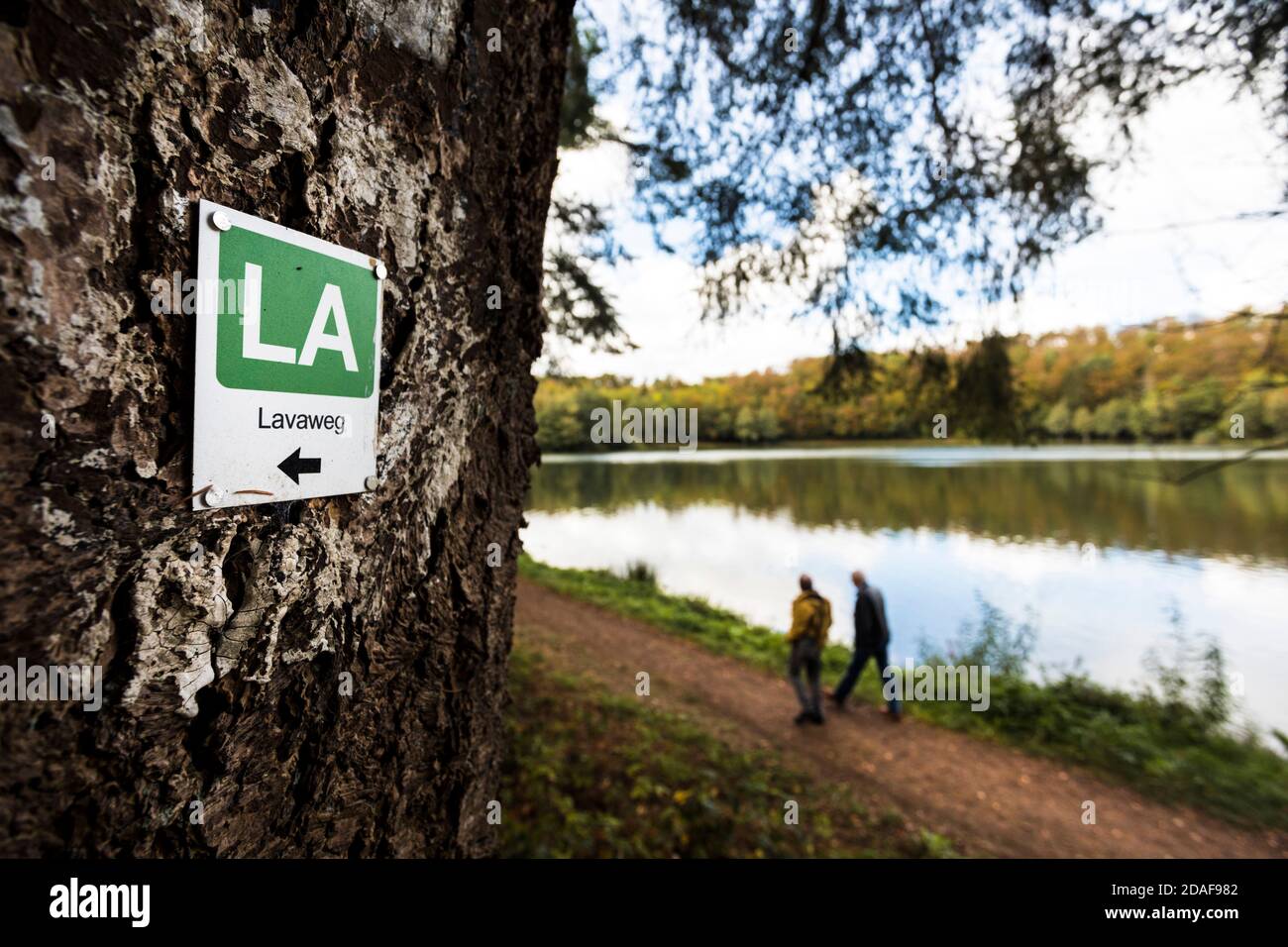 Der Holzmaarsee in der Vulkaneifel ist fast vollständig umgeben Dichter Wald Stockfoto Der Holzmaarsee in der Vulkaneifel ist fast vollständig umgeben Dichter Wald Stockfoto