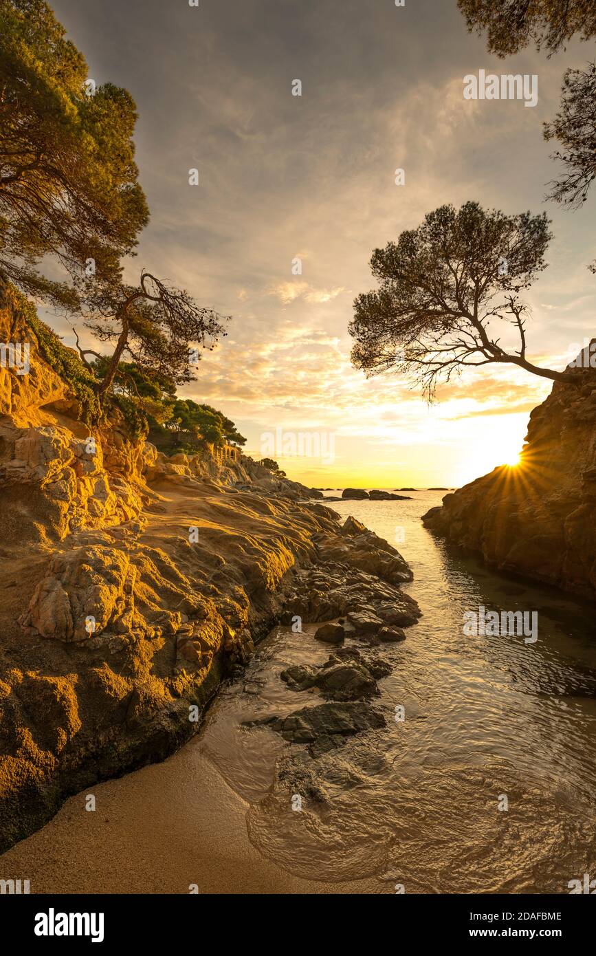 CAMI DE RONDA CALA ROVIRA PLATJA D’ARO COSTA BRAVA KATALONIEN SPANIEN Stockfoto