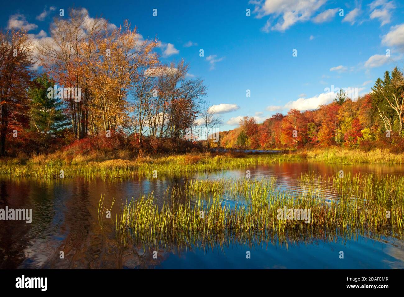 Brady's Lake, ein Erholungssee auf Pennsylvania State Game landet im Herbst in den Pocono Mountains. Stockfoto