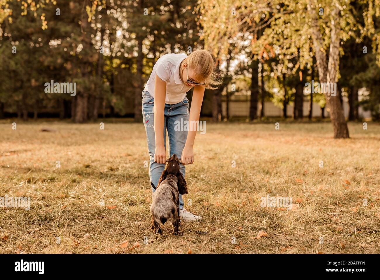 12 Jahre alt blonde Mädchen mit großen Brillen lachen und Spielen mit kleinen Welpen Spaniel im warmen Herbst Park Oder Wald Stockfoto