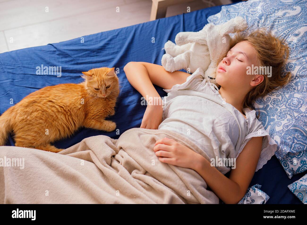 Ein Mädchen mit blonden Haaren schläft morgens im Bett neben einer flauschigen roten Katze. Weicher, freier Fokus. Stockfoto