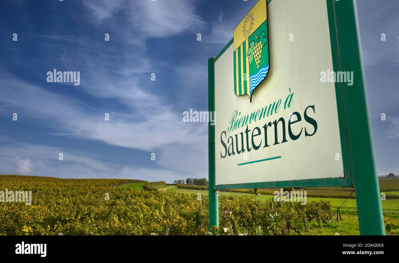 Sauternes Weingebiet Straßenschild von Weinbergen begrüßen Besucher zu Sauternes ist ein renommiertes französisches Weindorf, das süß und trocken produziert Dessertweine Stockfoto