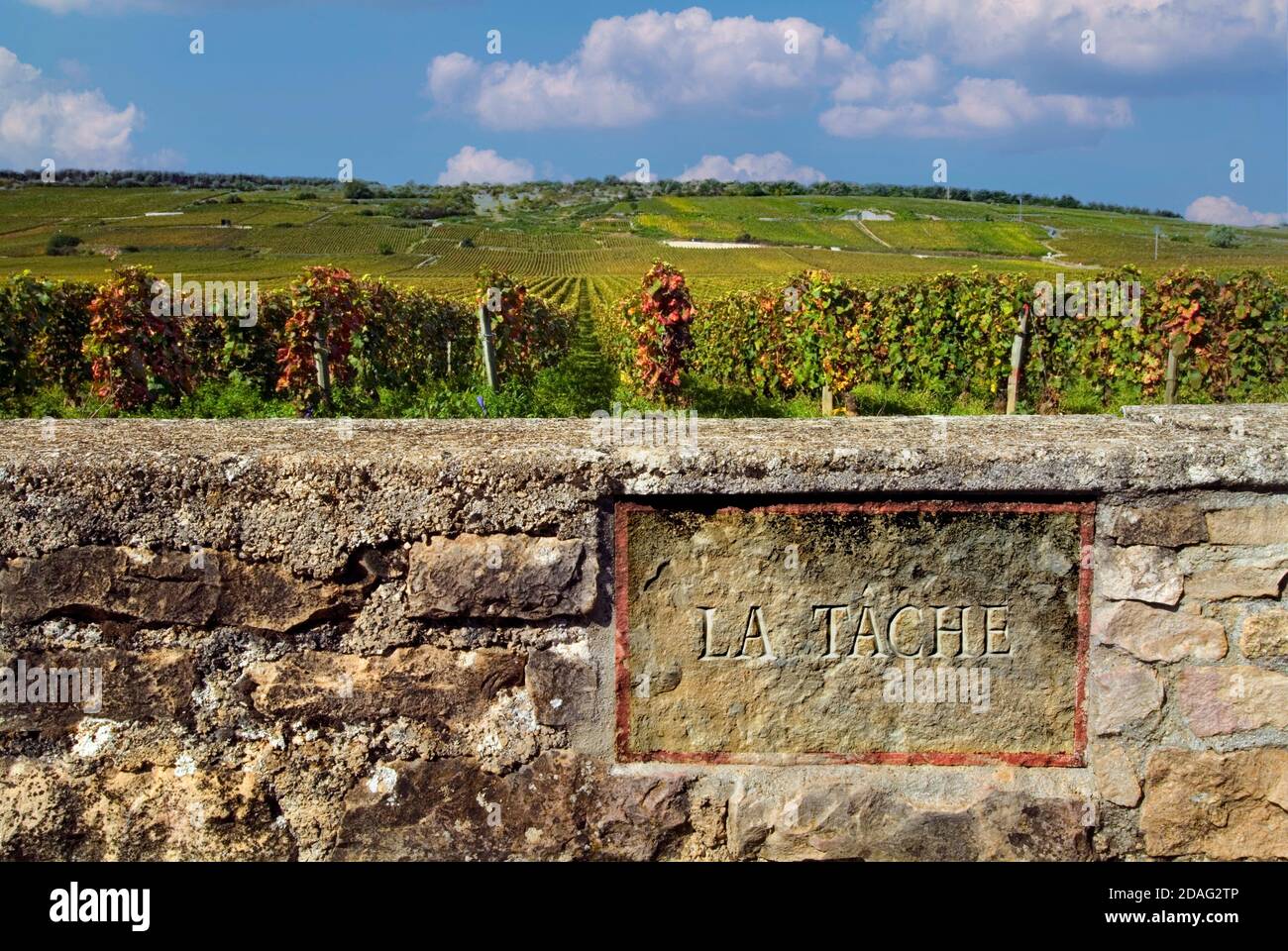 La Tache Weinberg gravierte Stein Name Plakette in der Grenzmauer der DRC Domaine de la Romanee-Conti, Vosne Romanee, Côte d’Or, Frankreich Stockfoto