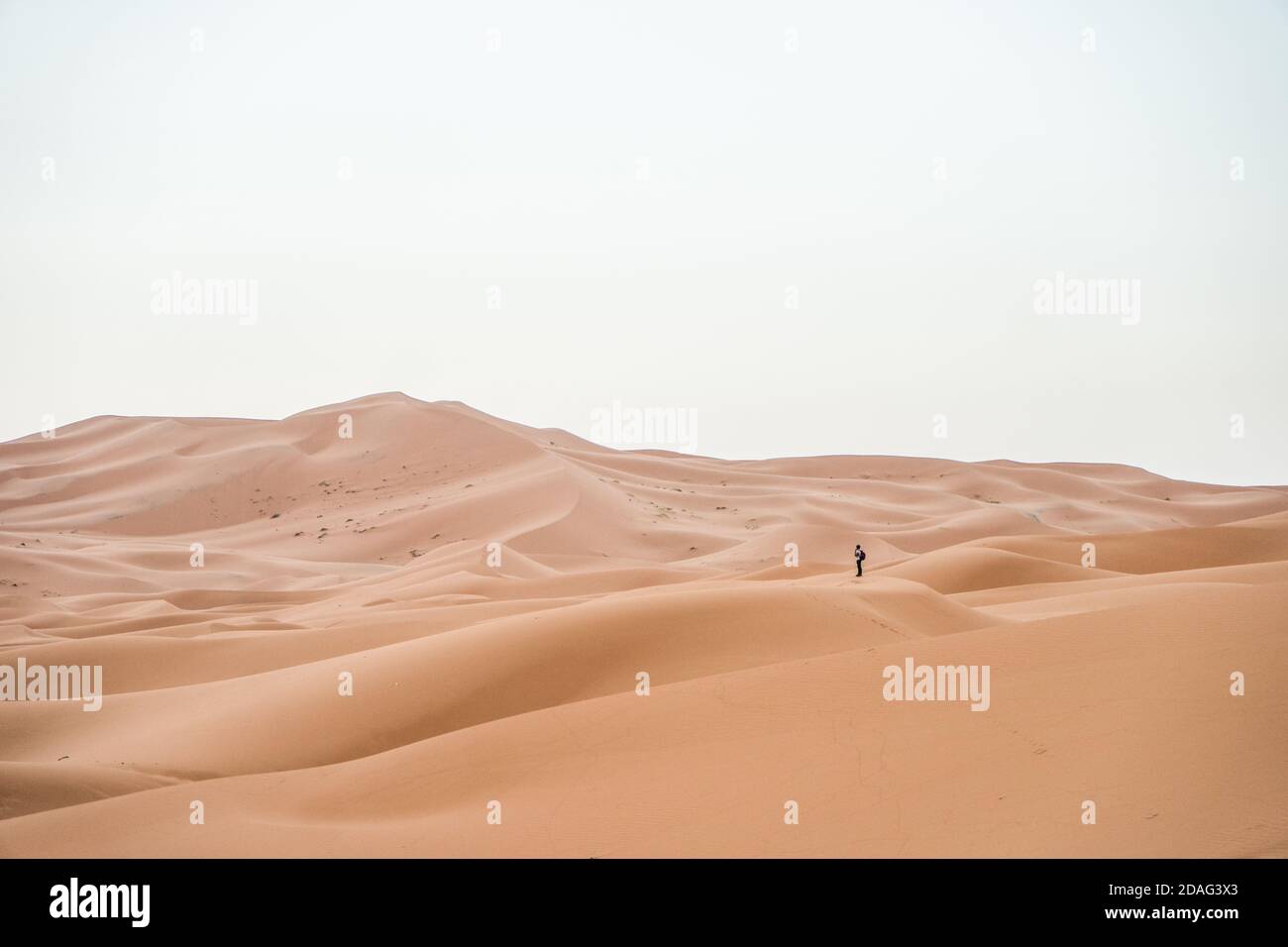 Sahara Wüste Dünen an einem bewölkten Tag ohne Schatten, in Marokko, Afrika Stockfoto