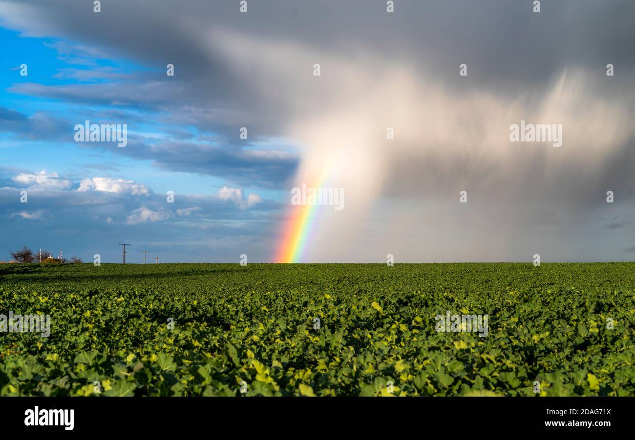 Regenbogen über der Landschaft, Frühling Stockfoto