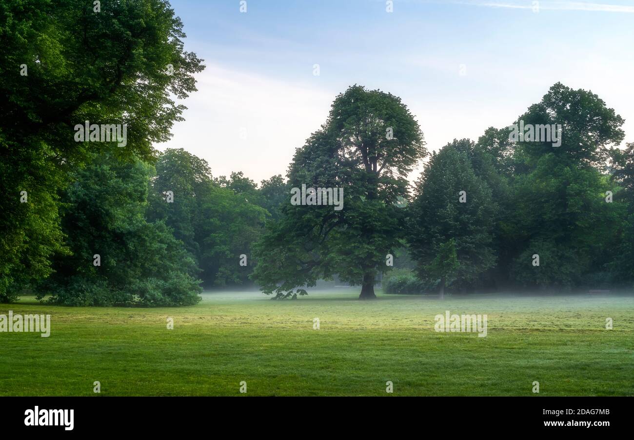 Morgenstimmung in grüner Parklandschaft Stockfoto