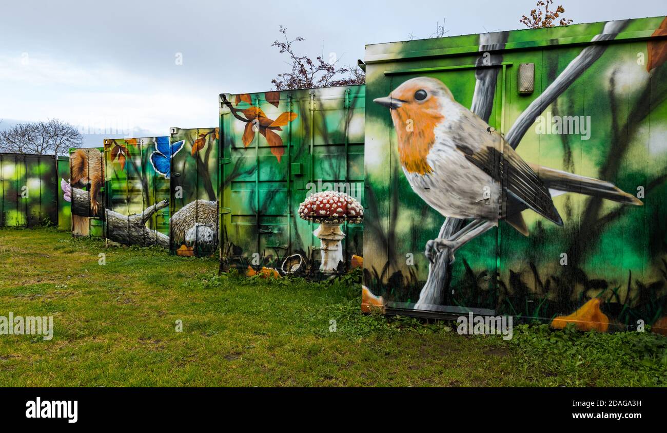 Skurrile urbane Wildlife-Kunstwerke von Robin auf Schiffscontainern, Calders Community Park, Wester Hailes, Edinburgh, Schottland, Großbritannien Stockfoto
