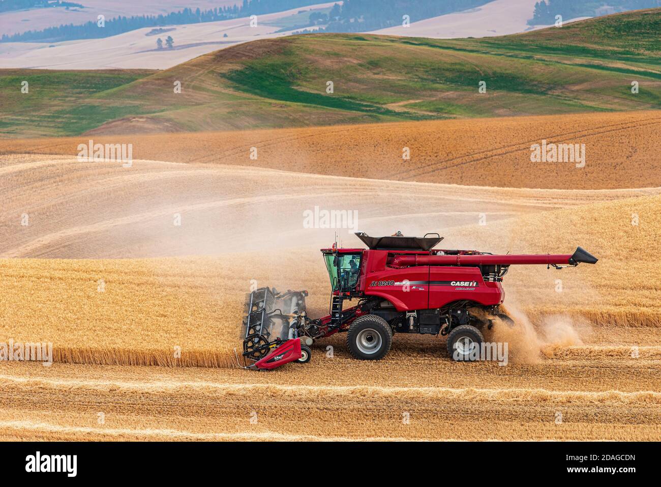 Caseih Combine erntet Weizen auf den Hügeln des Palouse Region Ost-Washington Stockfoto