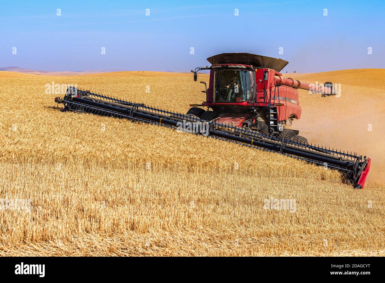 Caseih selbst Nivellierung kombinieren Ernte Weizen auf den Hügeln von Die Palouse Region im Osten Washingtons Stockfoto