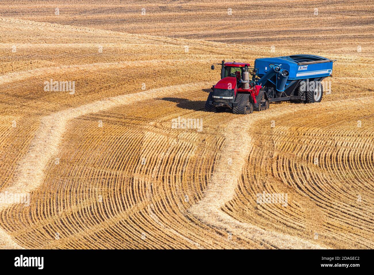 Caseih quadtrac Traktor zieht einen Kinze Korn Wagen durchfahren Ein Weizenfeld in der Palouse-Region im Osten Washingtons Stockfoto