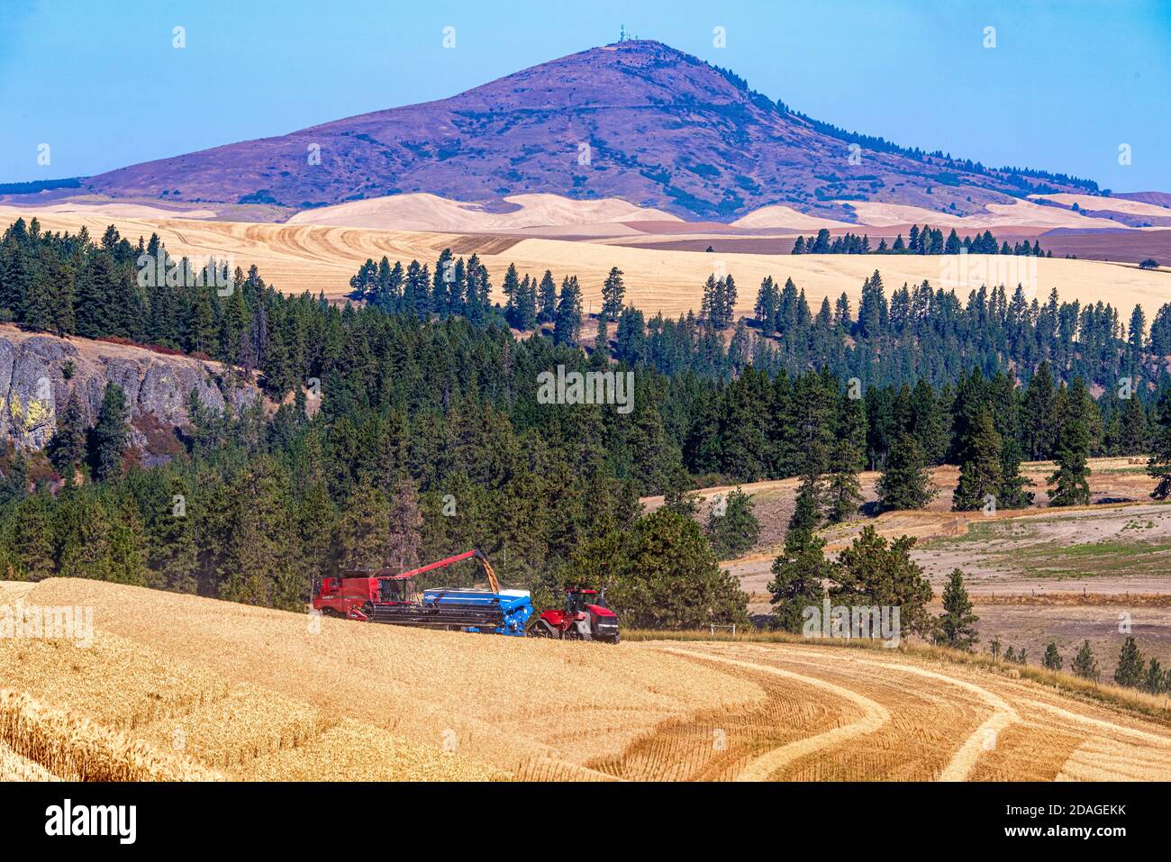 Case IH Mähdrescher und quadtrac Traktor ziehen einen Getreidewagen Während der Weizenernte mit Steptoe Butte im Hintergrund in Die Palouse Gegend von Washington Stockfoto