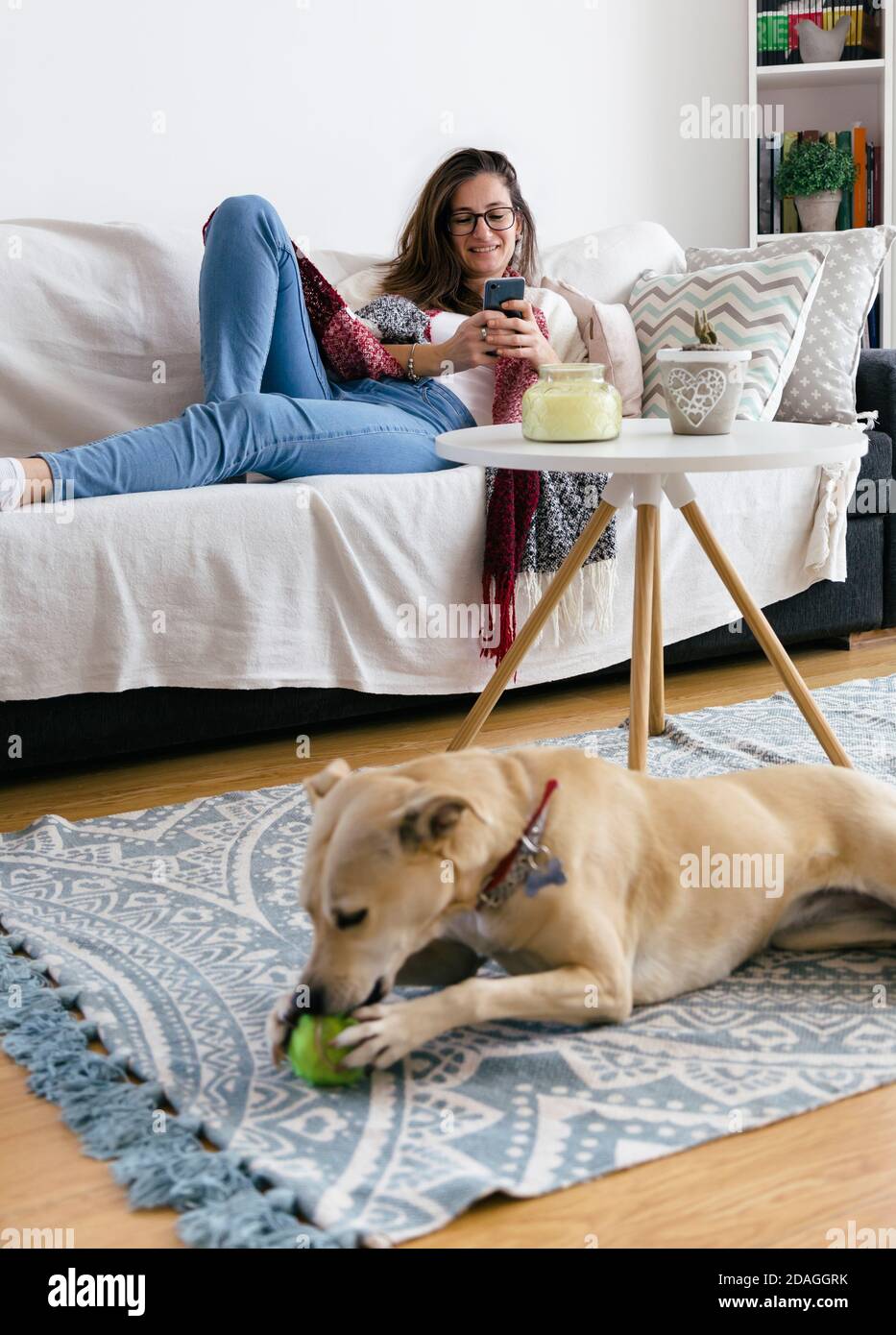 Lächelnde junge Frau zu Hause entspannt auf dem Sofa mit einem Handy in den Händen. Der Hund spielt mit einem Ball im Teppich. Quarantänezeiten. Stockfoto