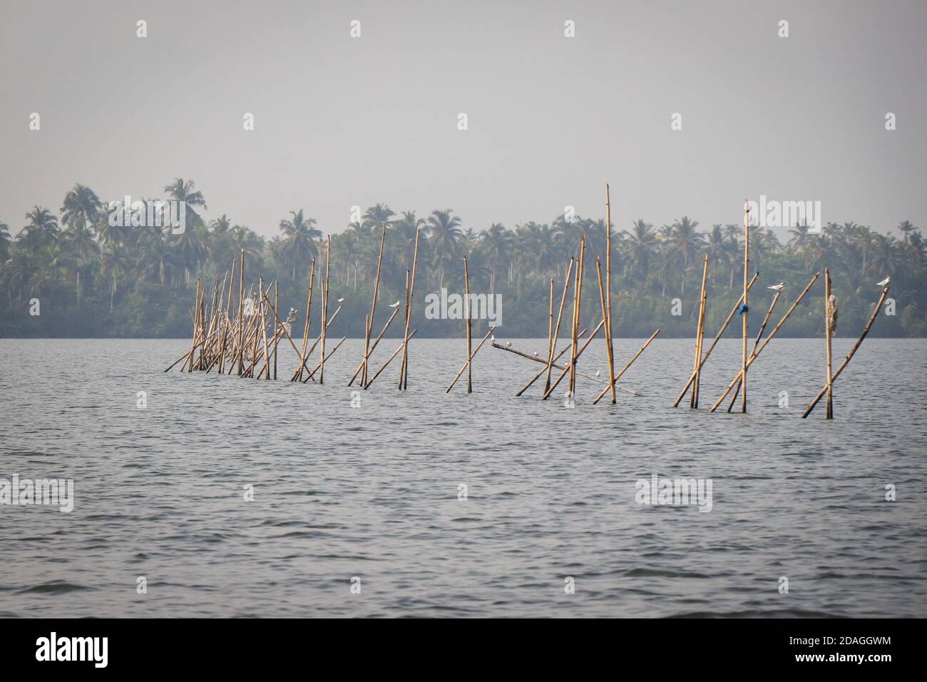 Bootsfahrt über die Lagune, Abidjan, Elfenbeinküste Stockfoto