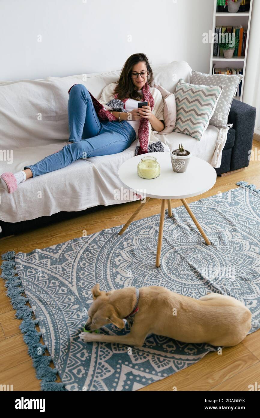 Mädchen zu Hause entspannen auf dem Sofa mit einem Handy in den Händen. Der Hund spielt mit einem Ball im Teppich. Stockfoto