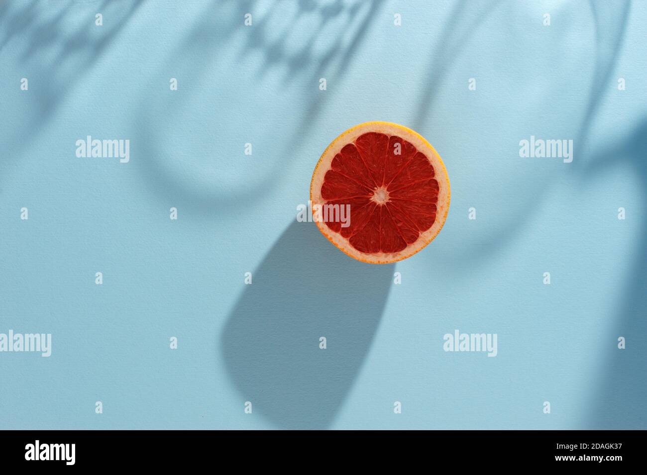Kreativer Hintergrund mit Grapefruit und Schatten in minimalem Stil. Kreatives Layout für den Sommer. Horizontal mit Platz für Text. Stockfoto