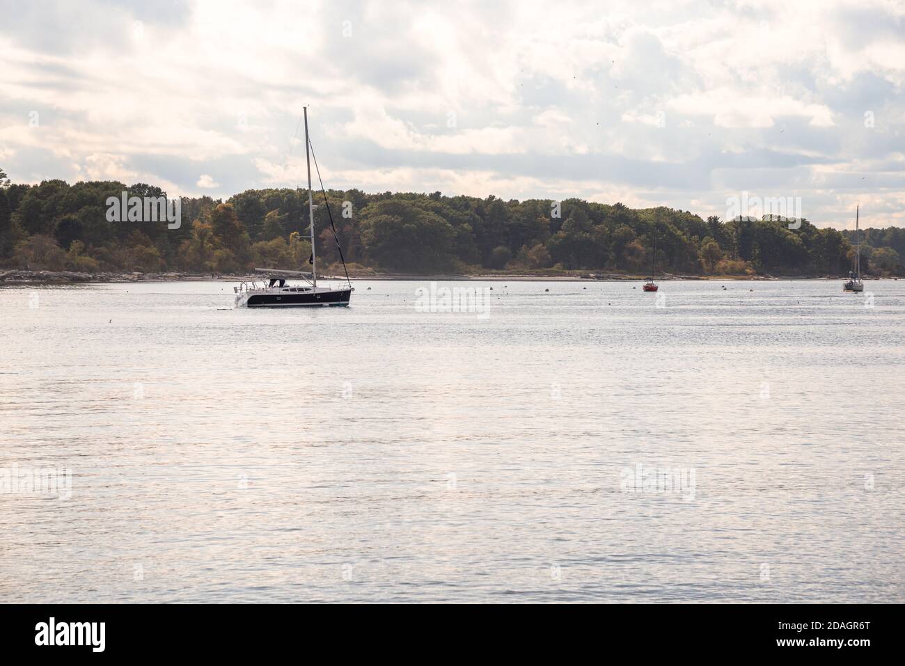 Saiboats verankert in einer Bucht mit bewaldeten Küste im Hintergrund An einem bewölkten Herbsttag Stockfoto