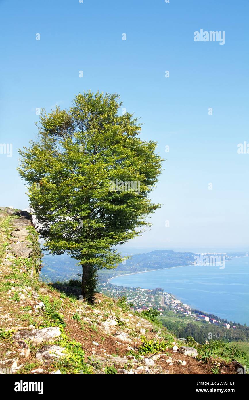 Festung Anakopia, Republik Abchasien. Schöne Aussicht auf das Schwarze Meer und New Athos. Stockfoto