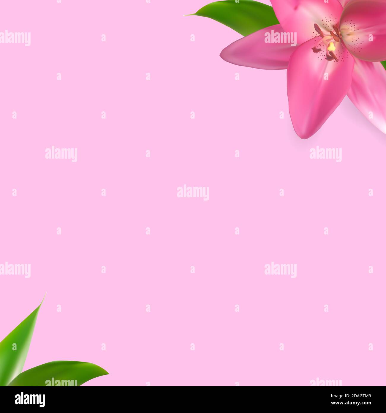 Blume natürlicher Hintergrund für Instagram Post. Vektorgrafik EPS10 Stock Vektor