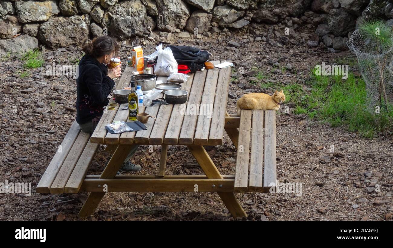 Frau, die Camping-Essen auf einem Tisch vorbereitet, während Katze ist Entspannend Stockfoto