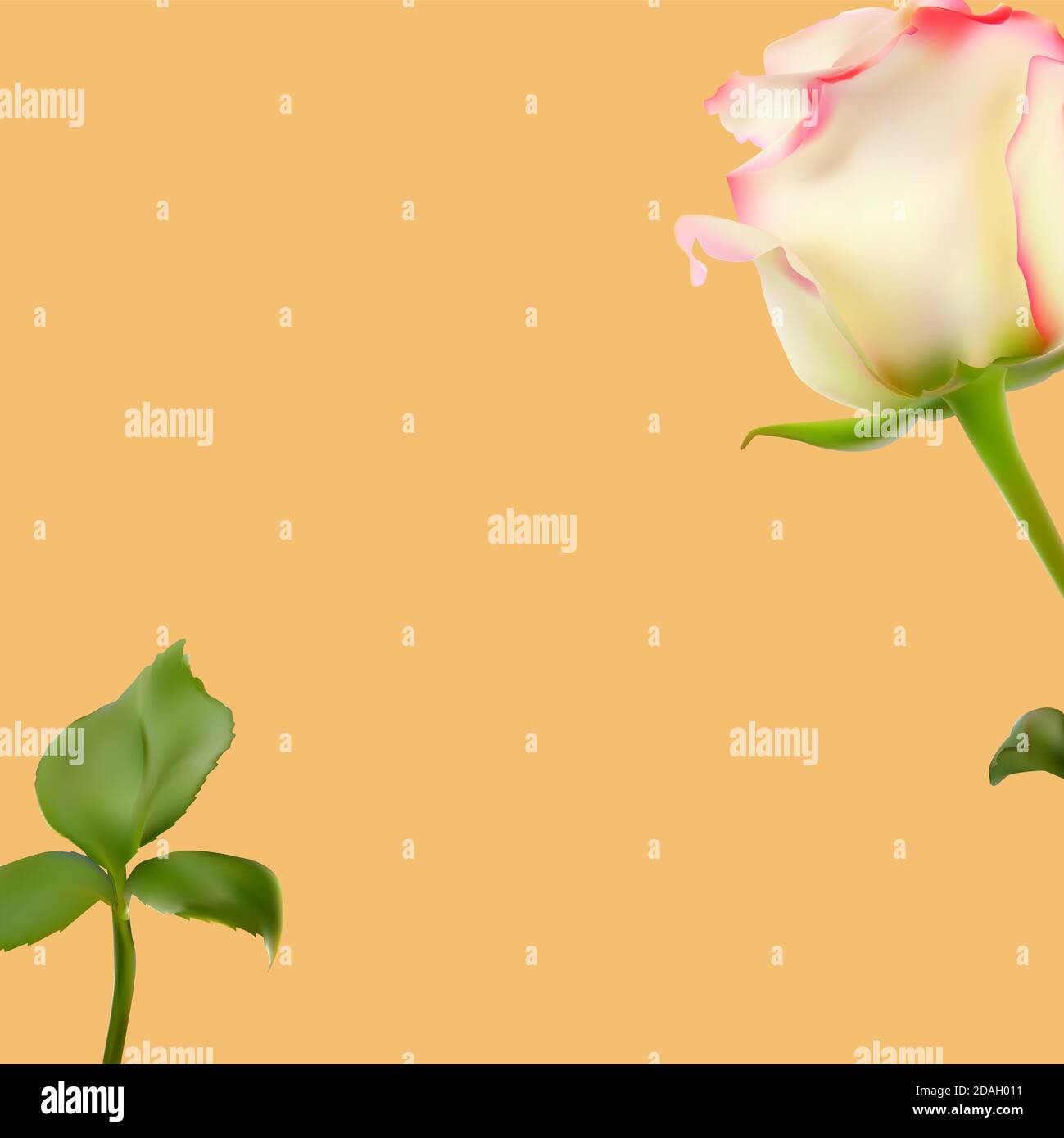 Blume natürlicher Hintergrund für Instagram Post. Vektorgrafik EPS10 Stock Vektor