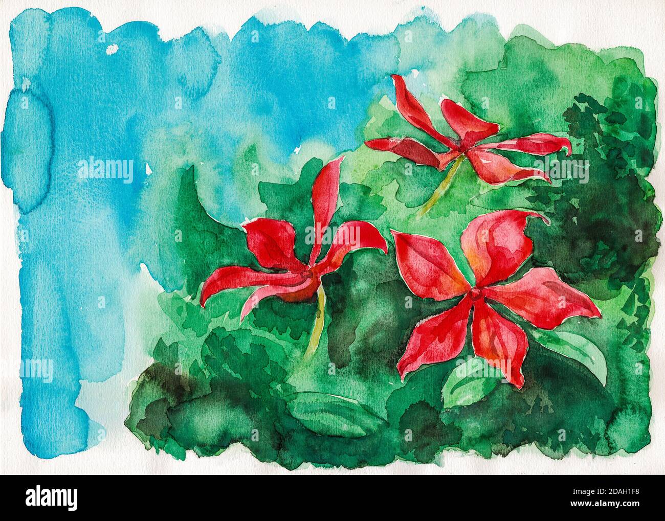 Darstellung von roten Blüten über grünlichen Büschen. Aquarellmalerei. Stockfoto