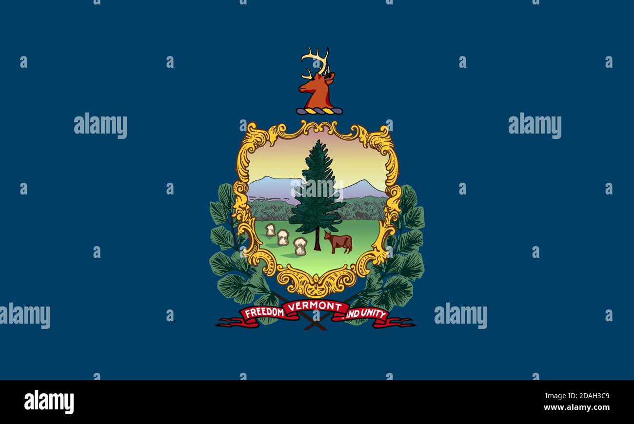 Flagge des US-Bundesstaates Vermont Stock Vektor