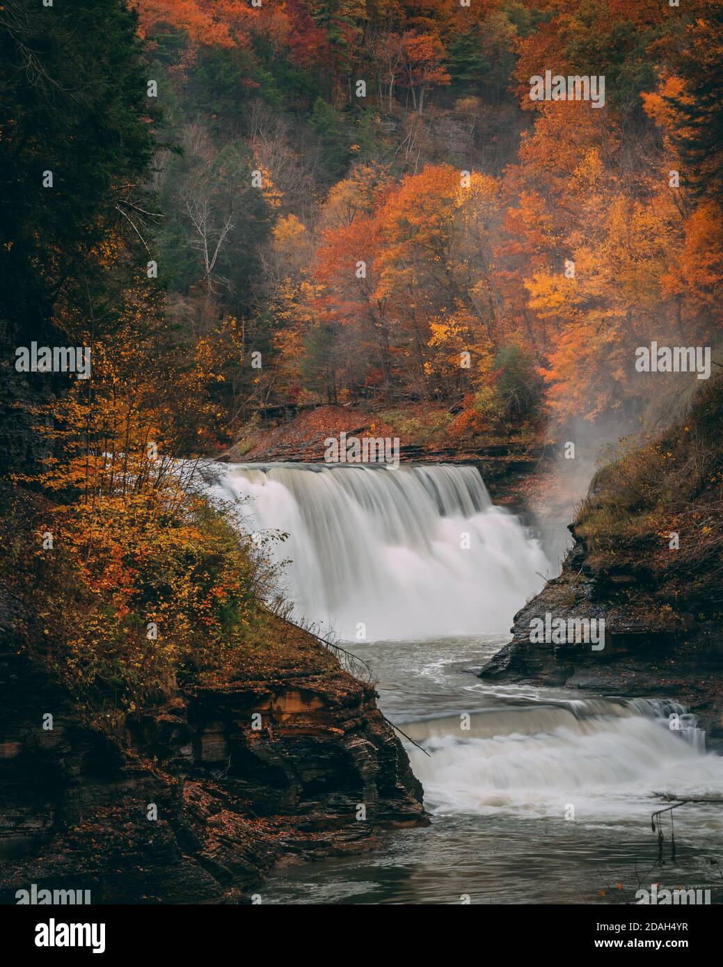 Lower Falls mit Herbstfarbe, im Letchworth State Park, im westlichen Bundesstaat New York Stockfoto