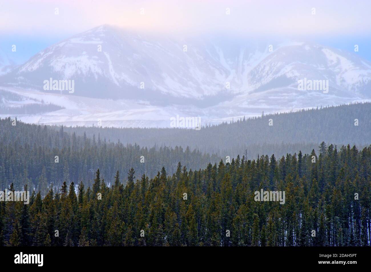 Ein horizontales Landschaftsbild von bewaldeten Hügeln, die an einem verschneiten Wintertag im ländlichen Alberta Kanada zu einem felsigen Berg führen. Stockfoto