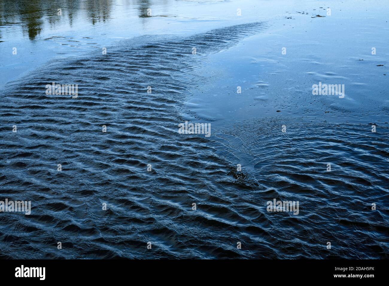 Wellen auf dem See Wasser, das nicht gefroren ist auf Maxwell Lake in Hinton Alberta Kanada. Stockfoto