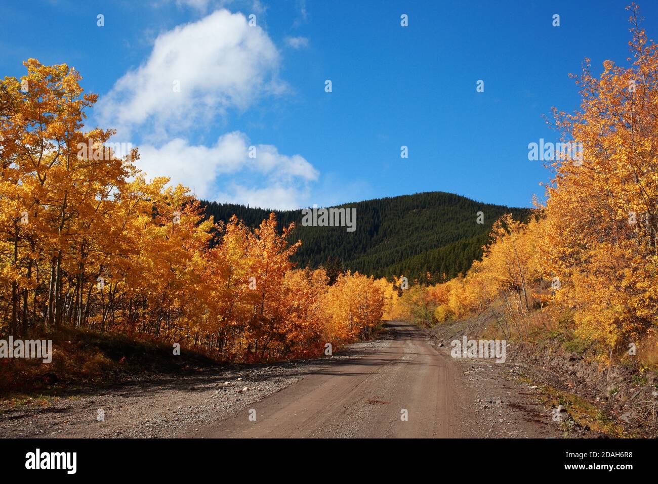 Herbstliche Straße Stockfoto