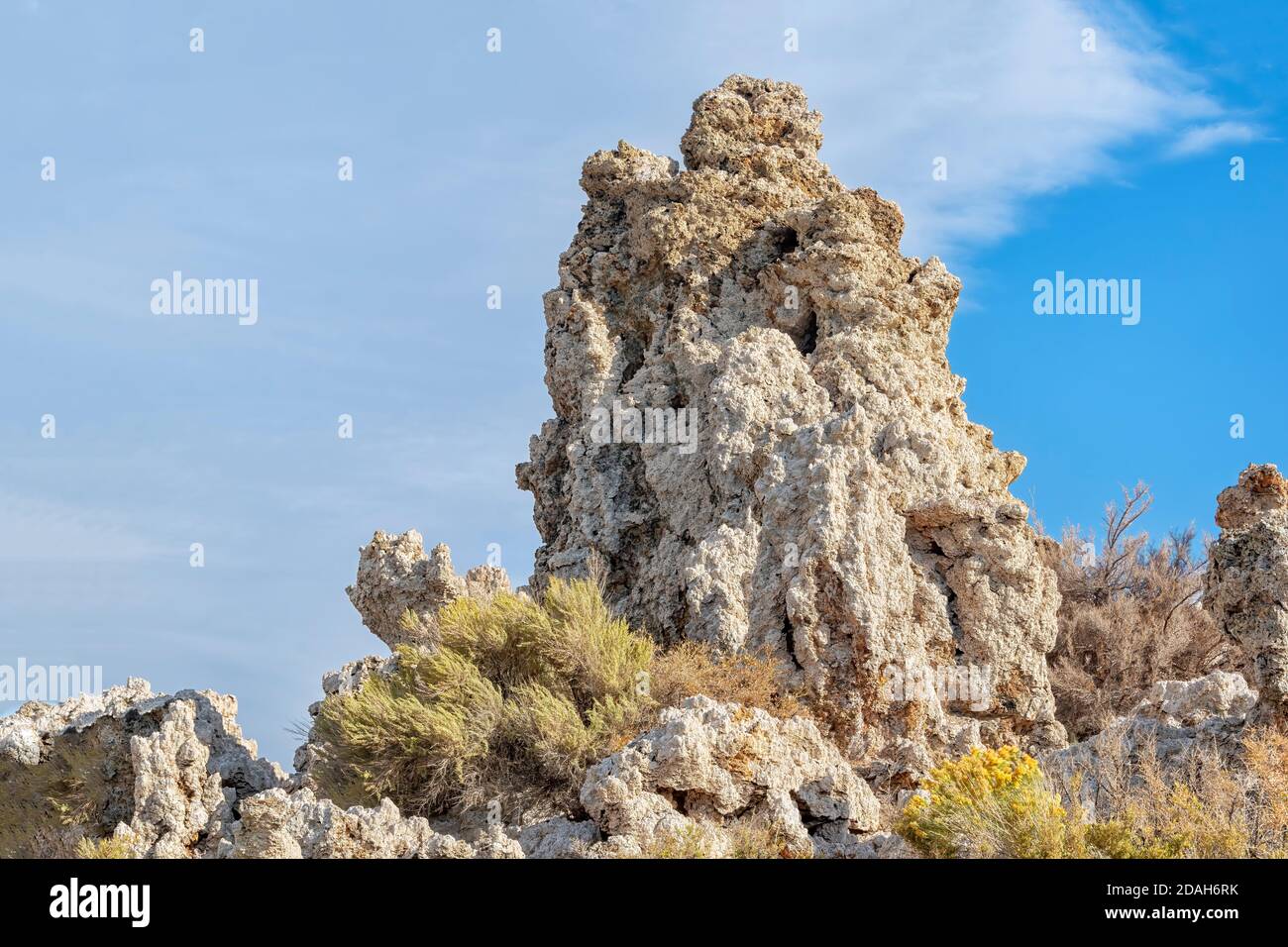 Mono Lake, Kalifornien, USA Panorama mit Tufas und Möwen. Stockfoto